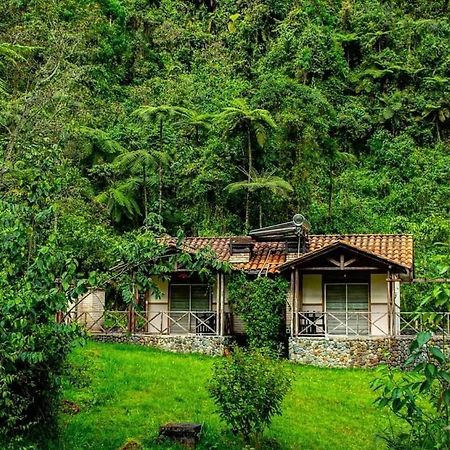 Hotel Termales San Vicente Santa Rosa de Cabal Exteriör bild