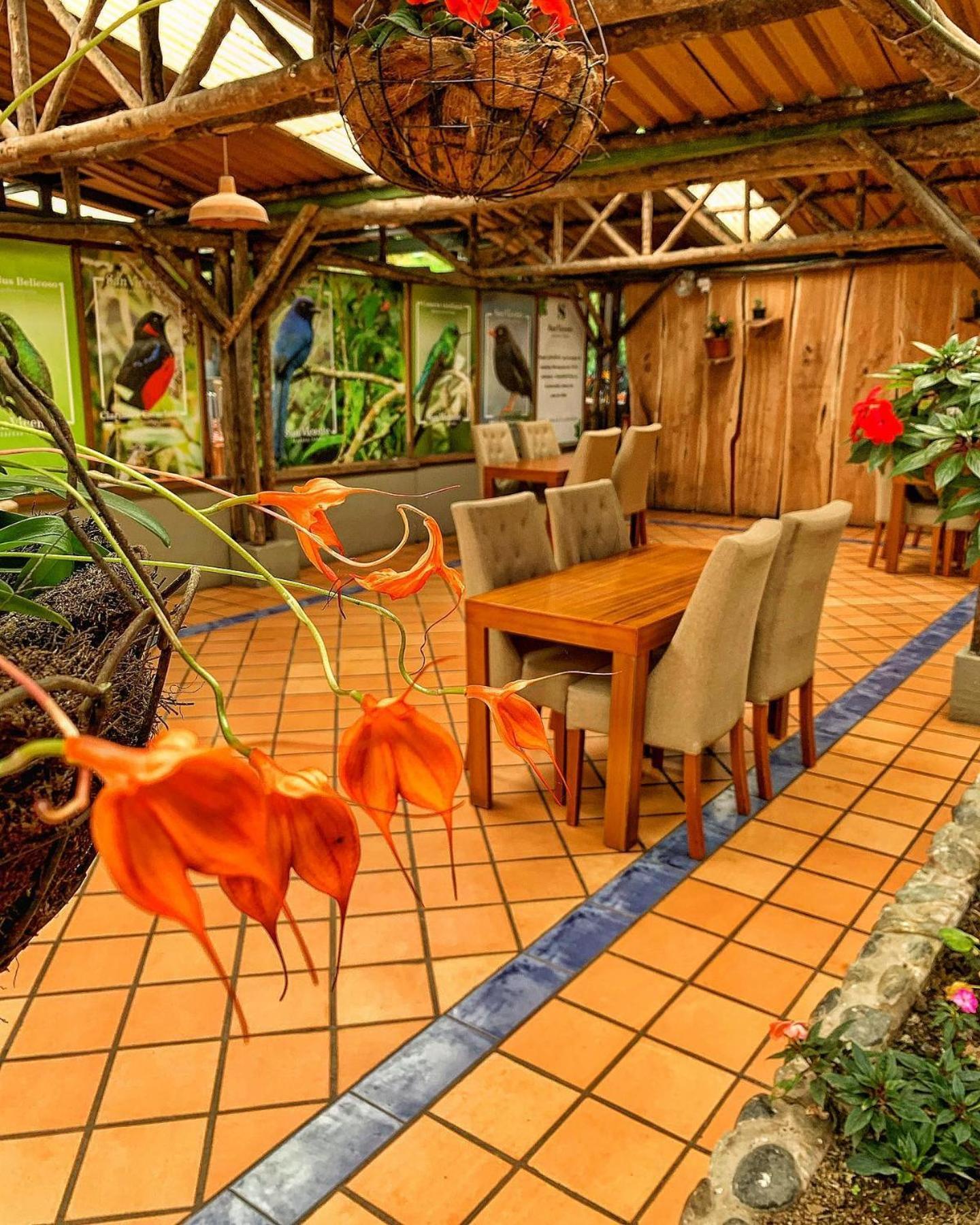 Hotel Termales San Vicente Santa Rosa de Cabal Exteriör bild