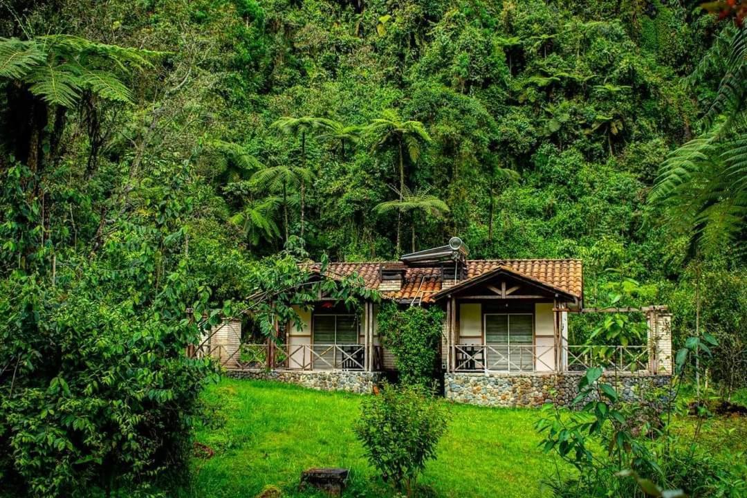 Hotel Termales San Vicente Santa Rosa de Cabal Exteriör bild